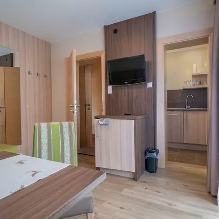 Haus Fridolin Appartement Sölden